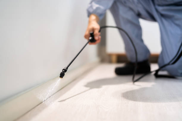 Professional exterminator conducting IPM assessment in Lake Cassidy